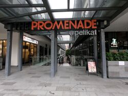 The Promenade@Pelikat (D19), Shop House #354311641